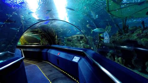 aquarium klcc